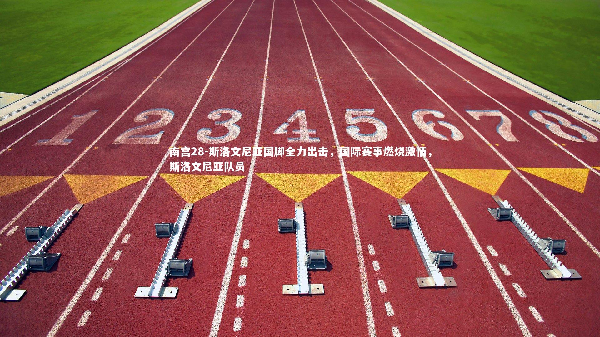 斯洛文尼亚国脚全力出击，国际赛事燃烧激情，斯洛文尼亚队员